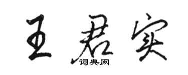 骆恒光王君实行书个性签名怎么写