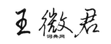 骆恒光王微君行书个性签名怎么写