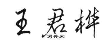 骆恒光王君桦行书个性签名怎么写
