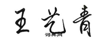 骆恒光王艺青行书个性签名怎么写