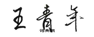 骆恒光王青年行书个性签名怎么写