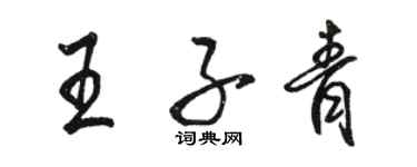 骆恒光王子青行书个性签名怎么写