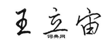 骆恒光王立宙行书个性签名怎么写
