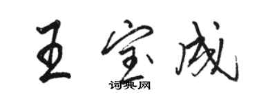 骆恒光王宝成行书个性签名怎么写