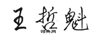 骆恒光王哲魁行书个性签名怎么写