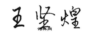骆恒光王坚煌行书个性签名怎么写
