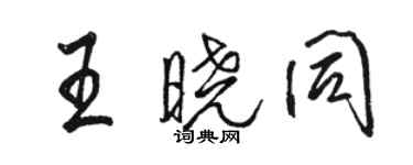 骆恒光王晓同行书个性签名怎么写