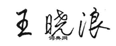 骆恒光王晓浪行书个性签名怎么写