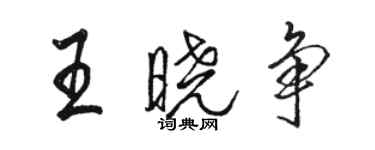 骆恒光王晓争行书个性签名怎么写