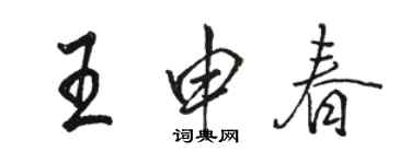 骆恒光王申春行书个性签名怎么写