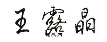 骆恒光王露晶行书个性签名怎么写