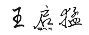 骆恒光王启猛行书个性签名怎么写