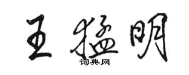 骆恒光王猛明行书个性签名怎么写