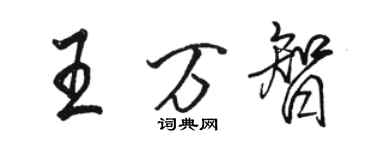 骆恒光王万智行书个性签名怎么写