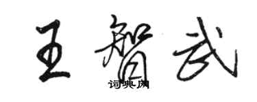 骆恒光王智武行书个性签名怎么写