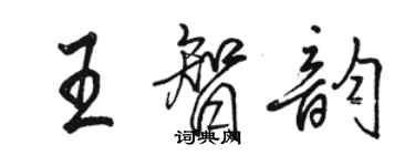 骆恒光王智韵行书个性签名怎么写