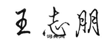 骆恒光王志朋行书个性签名怎么写