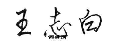 骆恒光王志白行书个性签名怎么写
