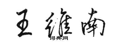 骆恒光王维南行书个性签名怎么写