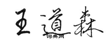 骆恒光王道森行书个性签名怎么写