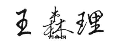 骆恒光王森理行书个性签名怎么写