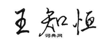 骆恒光王知恒行书个性签名怎么写