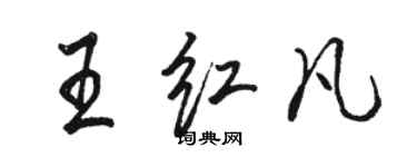 骆恒光王红凡行书个性签名怎么写