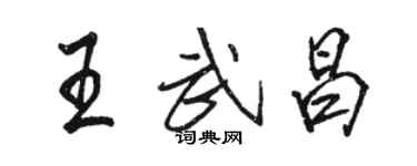 骆恒光王武昌行书个性签名怎么写