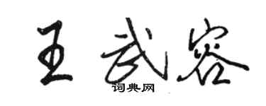 骆恒光王武容行书个性签名怎么写