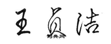骆恒光王贞洁行书个性签名怎么写