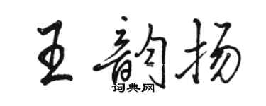 骆恒光王韵扬行书个性签名怎么写