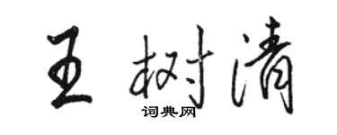 骆恒光王树清行书个性签名怎么写