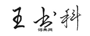 骆恒光王书科行书个性签名怎么写