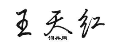 骆恒光王天红行书个性签名怎么写