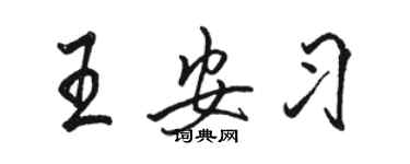 骆恒光王安习行书个性签名怎么写