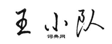 骆恒光王小队行书个性签名怎么写