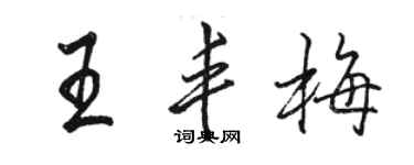 骆恒光王丰梅行书个性签名怎么写