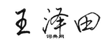 骆恒光王泽田行书个性签名怎么写