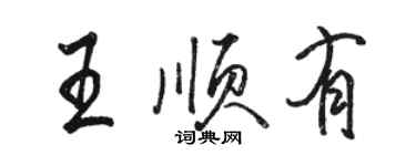 骆恒光王顺有行书个性签名怎么写