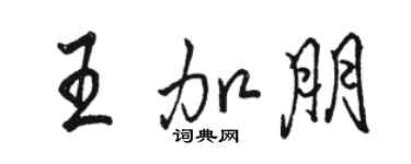 骆恒光王加朋行书个性签名怎么写