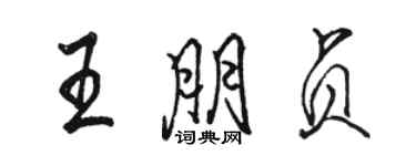 骆恒光王朋贞行书个性签名怎么写