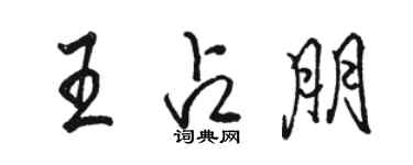 骆恒光王占朋行书个性签名怎么写
