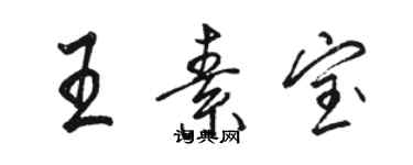 骆恒光王素宝行书个性签名怎么写