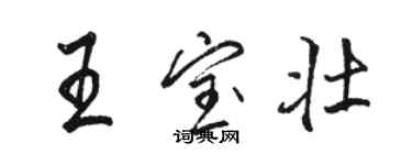 骆恒光王宝壮行书个性签名怎么写