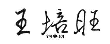 骆恒光王培旺行书个性签名怎么写
