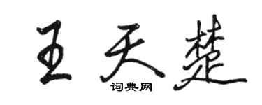 骆恒光王天楚行书个性签名怎么写