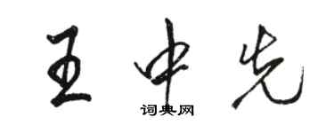 骆恒光王中先行书个性签名怎么写