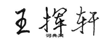 骆恒光王挥轩行书个性签名怎么写