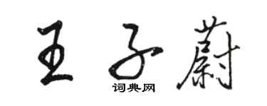 骆恒光王子蔚行书个性签名怎么写