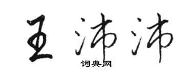 骆恒光王沛沛行书个性签名怎么写